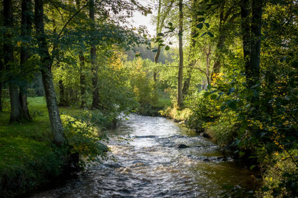 istock Small spring creek in autumn scenery lit up by beautiful warmn sunlight 1130888802