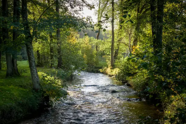 Photo of Small spring creek in autumn scenery lit up by beautiful warmn sunlight