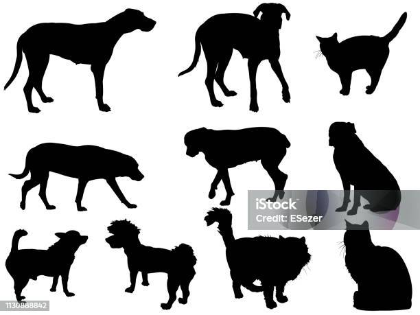 Fluffy Cats With Whiskers And Purebred Dogs As Vector Stock Illustration - Download Image Now