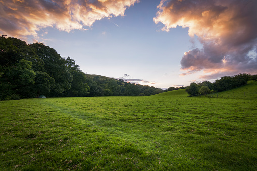 Camping tent in the green and lush meadows of England at sunset