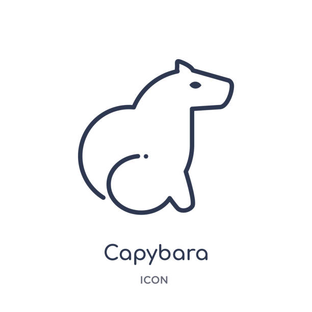 Linear capybara icon from Animals outline collection. Thin line capybara icon isolated on white background. capybara trendy illustration Linear capybara icon from Animals outline collection. Thin line capybara icon isolated on white background. capybara trendy illustration capybara-symbol stock illustrations