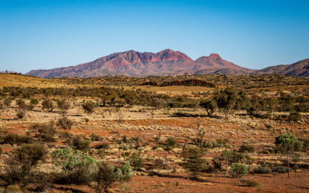 paesaggio centrale rosso con vista lontana sul monte sonder nell'outback nt in australia - afar desert foto e immagini stock