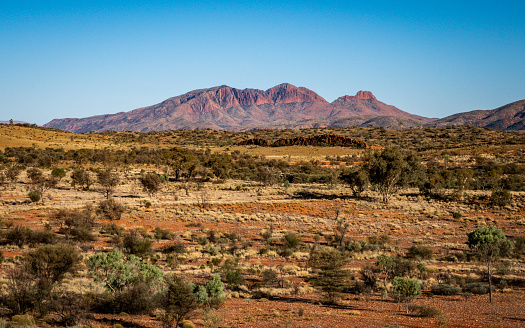 Red centre landscape with distant view of Mount Sonder in NT outback Australia