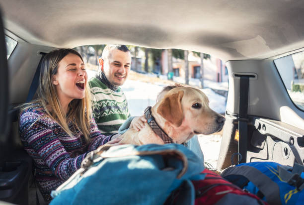 istock We love to travel 1130899979