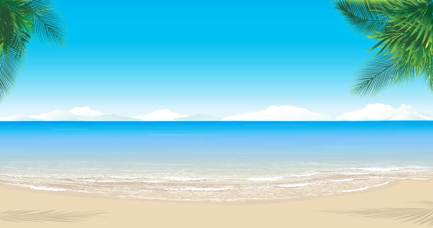 ilustraciones, imágenes clip art, dibujos animados e iconos de stock de playa paraíso - sand beach summer backgrounds