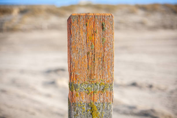 Close-up of wooden post on the beach of Noordwijk, the Netherlands Close-up van strandpaal vakantie stock pictures, royalty-free photos & images