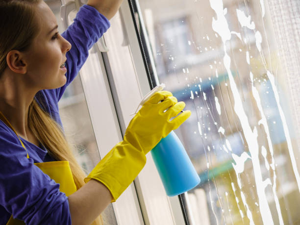 istock Woman cleaning window at home 1130902711