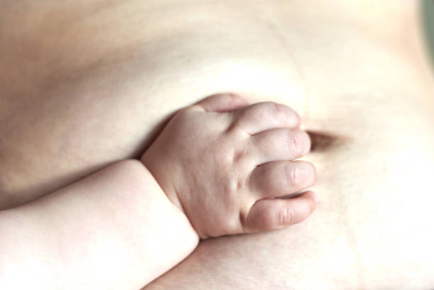 baby berührt den bauch der mutter nach mehreren monaten nach der geburt - human pregnancy abdomen naked human hand stock-fotos und bilder