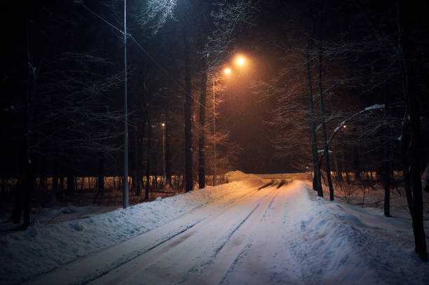 istock Landscape of empty night winter road covered by snow. Forest scene 1130902735