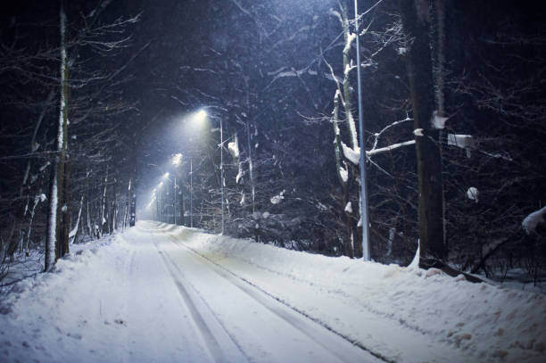 istock Landscape of empty night winter road covered by snow. Forest scene 1130902738