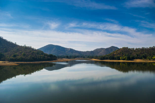 istock Jambughoda Wildlife Sanctuary 1130904292