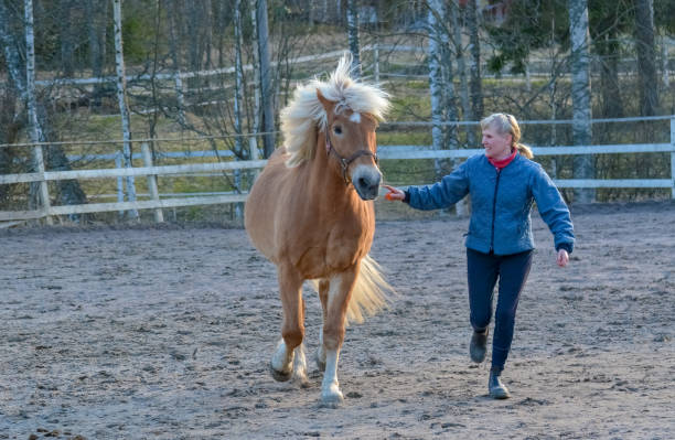 istock Horse and woman 1130907207