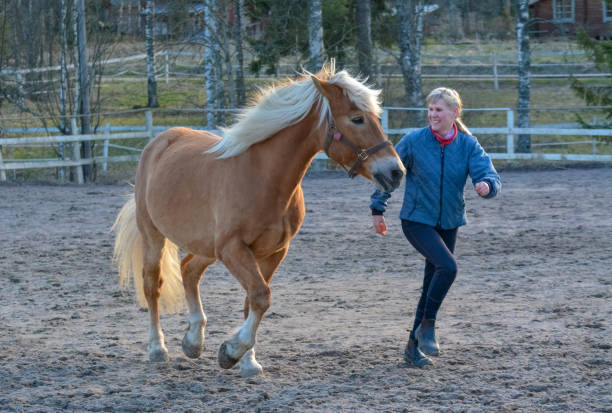 istock Horse and woman 1130907225