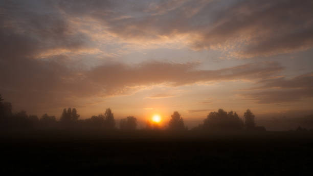 istock Tranquil foggy grassland at sunrise 1130907850