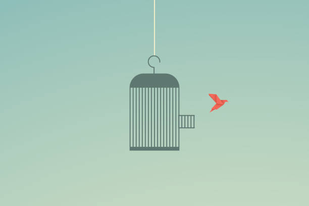 minimalistischer stile. vektorgeschäftsfinanzierung. fliegender vogel und käfig freiheitskonzept. emotion der freiheit und des glücks - birdcage stock-grafiken, -clipart, -cartoons und -symbole