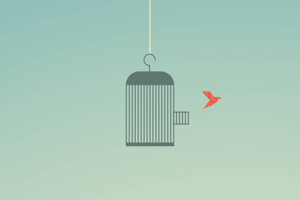 Minimalist stile. vector business finance. Flying bird and cage Freedom concept. Emotion of freedom and happiness Minimalist stile. vector business finance. Flying bird and cage Freedom concept. Emotion of freedom and happiness escaping illustrations stock illustrations