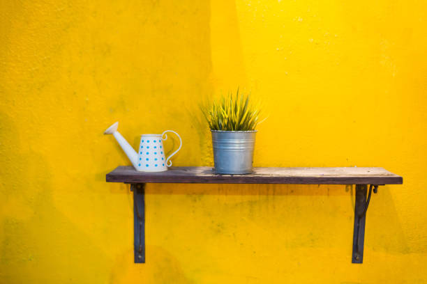 istock Ornamental plants in vintage can and ceramic watering 1130912238