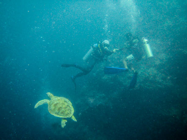 istock Island of Sipadan 1130913378