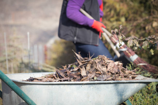 istock Elderly woman spring cleaning the garden 1130914609