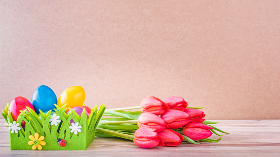 Easter nest with colourful Easter eggs and red tulips