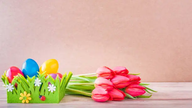 Easter nest with colorful Easter eggs and red tulips against a wooden background