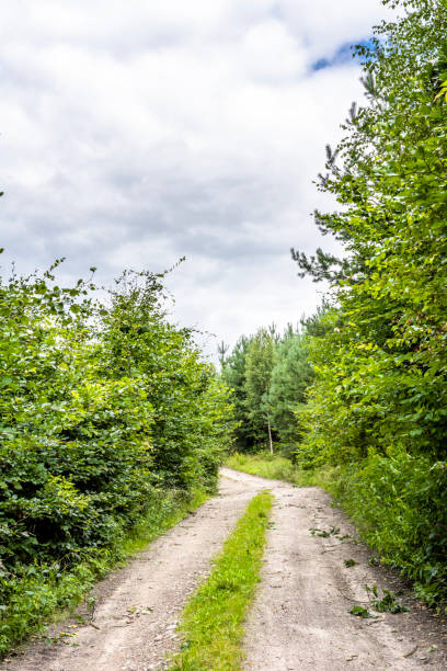 istock Road in spring green forest, landscape 1130915198