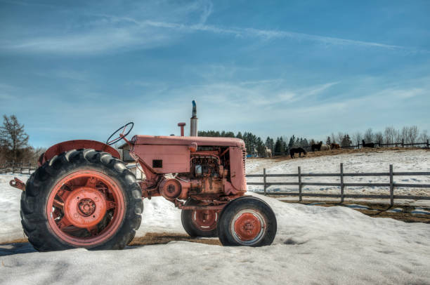 The old tractor stock photo
