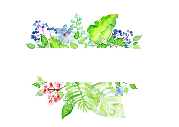 beautiful flowers, watercolor on paper
