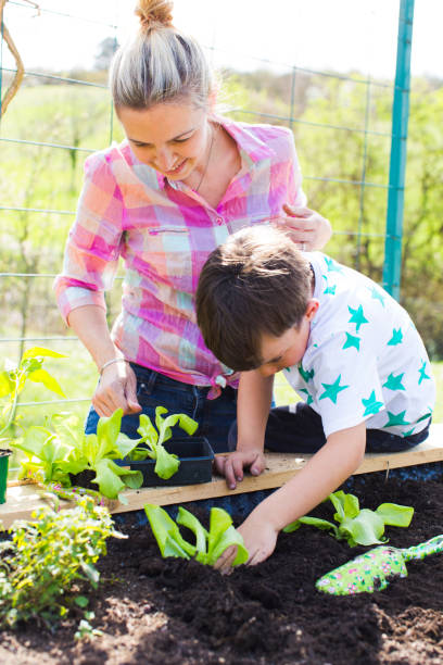 istock Mother And Son Gardening On Field During Sunny Day 1130923106