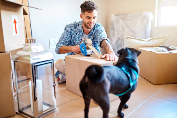istock Don't worry, I didn't forget to pack the dog food 1130924806