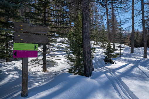 Brown empty wooden sign in winter forest with snow