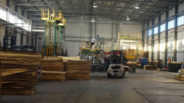 Shop for the production of plywood. Processing of business wood. Woodworking industry. stock photo