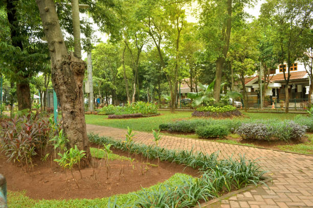 istock an outdoor park 1130927302
