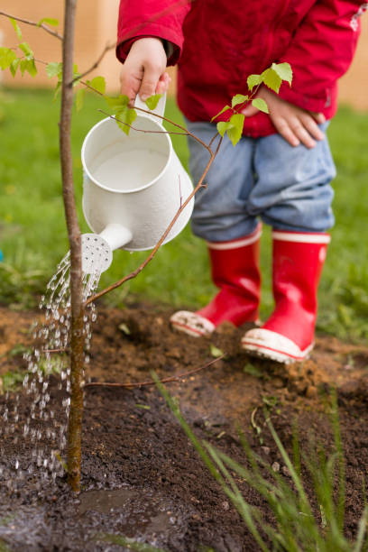 istock 4 years old boy in a red jacket, blue jeans and rubber boots is planting a thin tree and watering it from a nice white watering can. Spring planting on the green house lawn. Outdoor. 1130929426