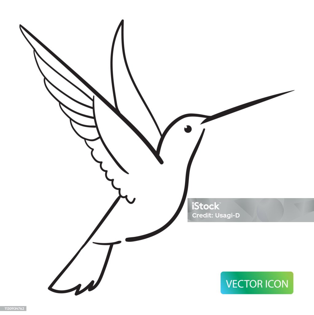 Hummingbird Icon Or Logo Design Vector Image On White Background. Hummingbird Icon Or Logo Design Vector Image On White Background. Hummingbird Line Logo Icon. Isolated Symbol Vector Illustration. Hummingbird Line Sketch Vector Image. Hummingbird stock vector