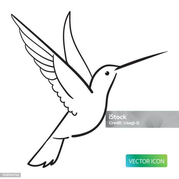 Hummingbird Icon Or Logo Design Vector Image On White Background Stock Illustration - Download Image Now