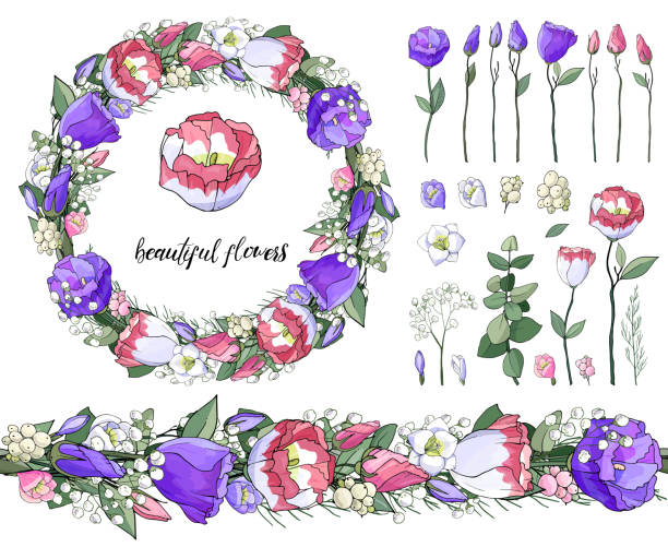 Stock vector floral set of flower brush from pink and blue eustomas with beautiful wreath. Collection of objects for floral and wedding design. Isolated and hand drawn vector illustration. Floral design, flower backdrop. Festive hand drawn pattern,  elements, spring, wedding. blue gentian stock illustrations