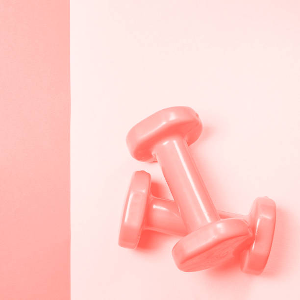 istock gray dumbbells on the backgroundcoral color. TONING DUOTON 1130938209