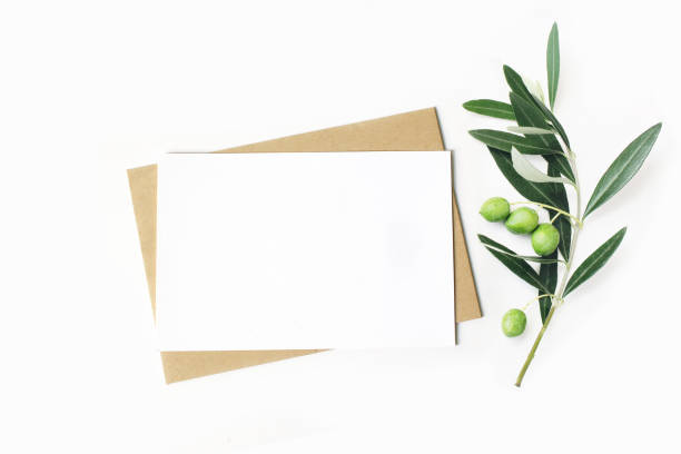 istock Feminine stationery, desktop mock-up scene. Blank horizontal greeting card and craft envelope with olive branch.White table background. Flat lay, top view. 1130938300