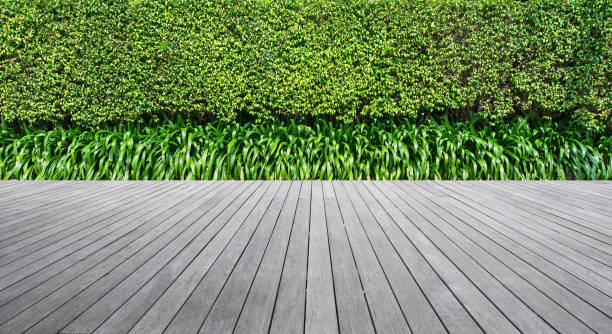istock Boardwalk And Green Hedge Background 1130939250