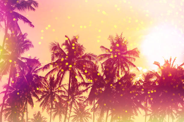 istock Palm sunset silhouettes stylized with light leaks 1130942705