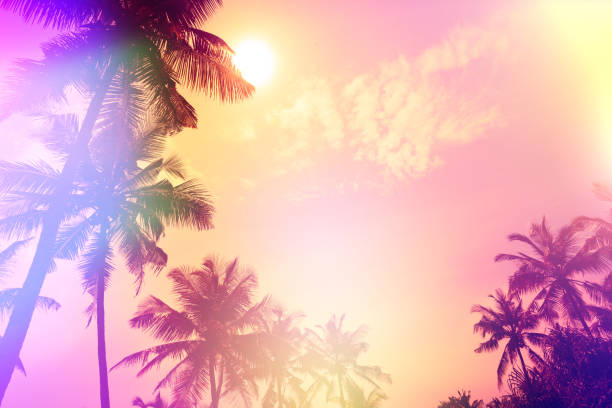istock Palm sunset silhouettes tropical beach party stylized 1130942835