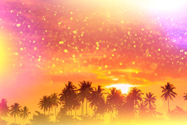 Tropical beach palms at sunset silhouettes fairytale stylized with colorful light leaks and gold glitter particles