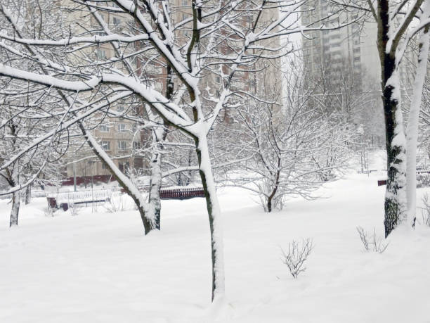 istock city park after snowfall at day 1130943288