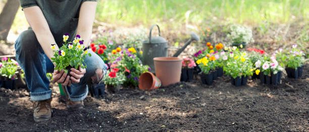 istock Woman Gardening 1130947174