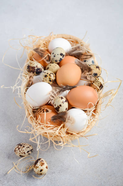 istock Different types of eggs in a basket on a gray concrete background. 1130949265