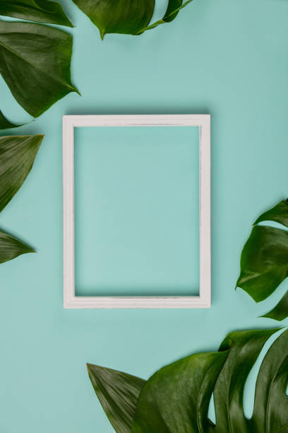 istock Creative flat lay with tropical plant and white frame for your text on blue background 1130960819