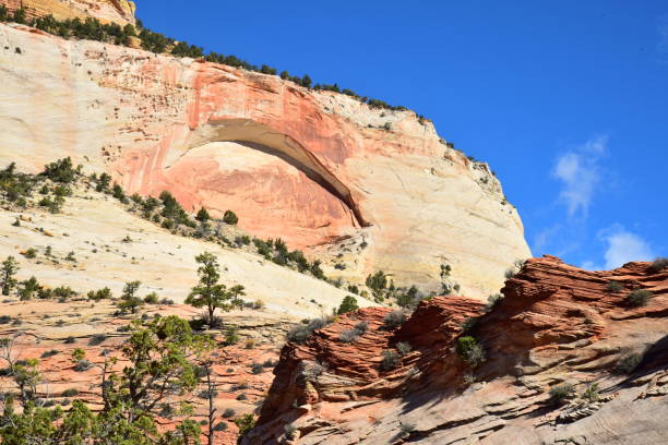 istock Canyon Junction Rock Face, Zion National Park 1130968088
