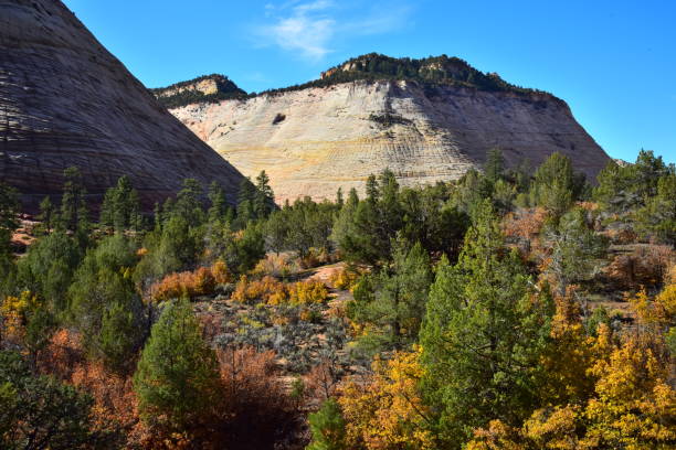istock Checkerboard Mesa, Zion National Park 1130968402