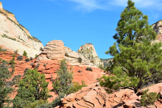 istock Zion National Park- East 1130968408